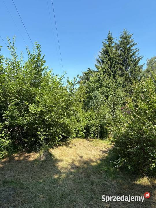 Duża działka ROD Radość 305 m Działki 257 i 258 Dąbrowa Górnicza