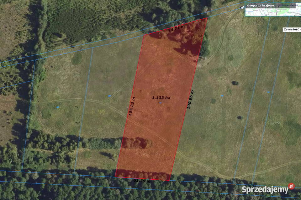 Działka łąka w pobliżu Białej Podlaskiej lubelskie