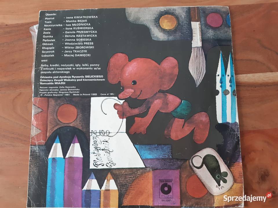 Plastusiowy pamiętnik winyl płyta winylowa Warszawa
