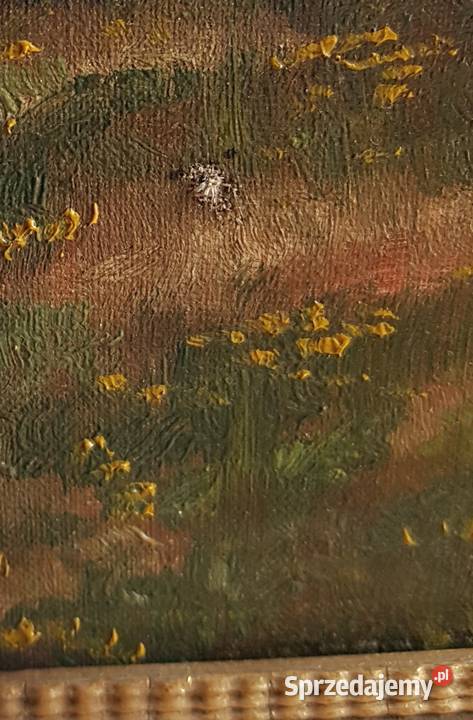 Stary duży olejny obraz pejzaż C Hartwig Dąbrowa Górnicza