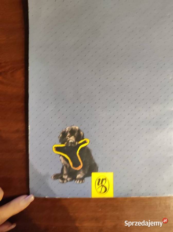 Dwie Podróże Guliwera pierwsze wydanie 1990 świętokrzyskie Kielce