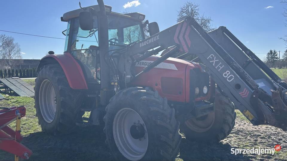 Massey Ferguson 6465 Massey Ferguson sprzedam