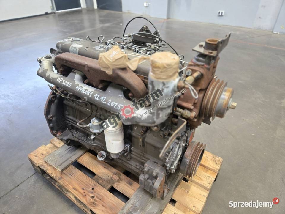 Silnik Massey Ferguson 3080 Perkins A6354 Byków