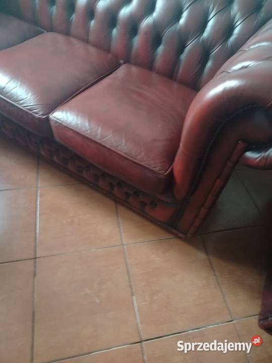 Chesterfield angielski Biała Podlaska