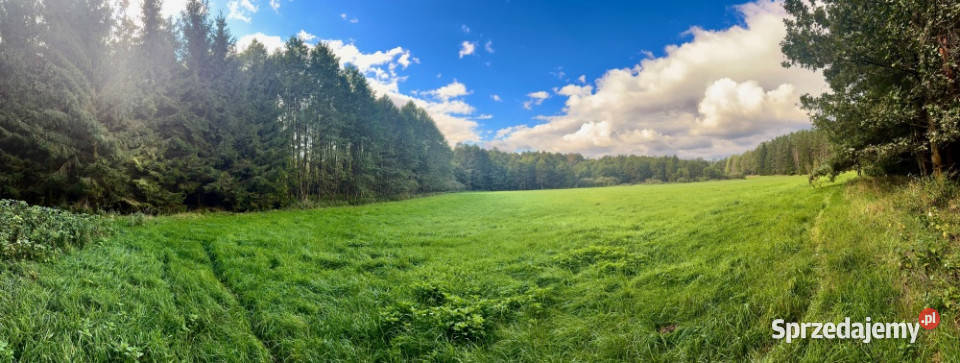 Wyjątkowa działka 242 ha wśród zieleni Cisza 24200m2 Nitki
