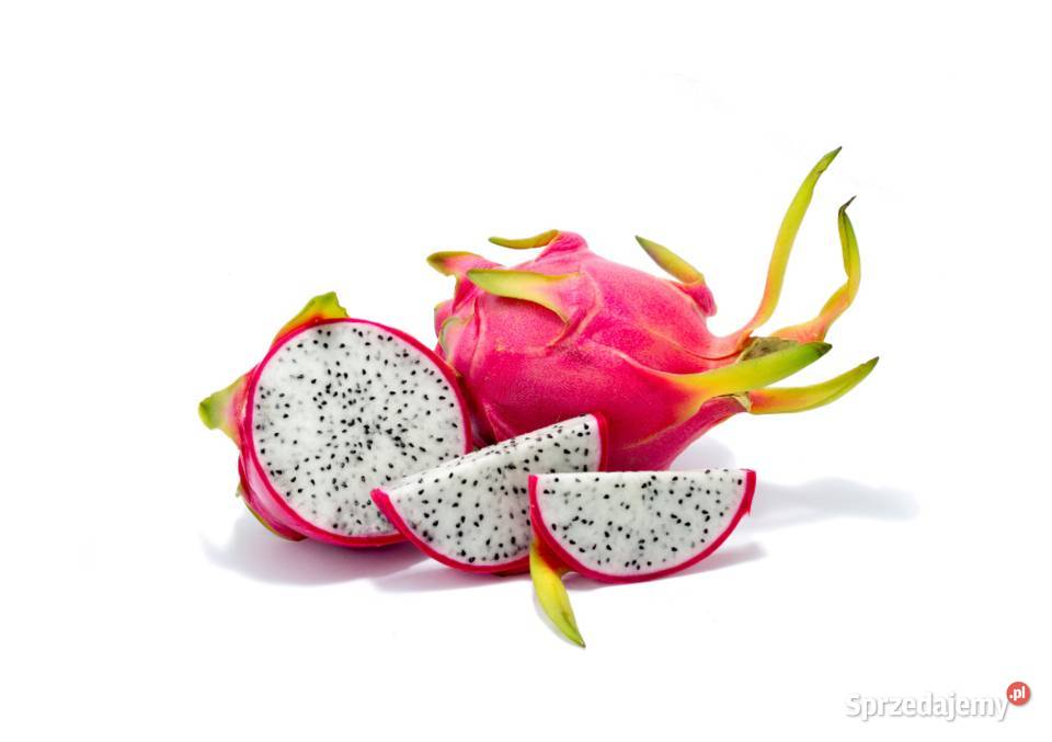 Smoczy owoc Pitaja Dragon Fruit Egzotyczny Białogard