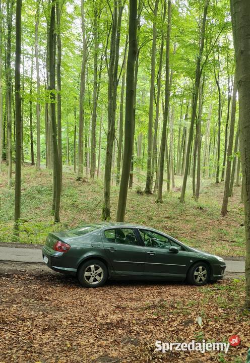 Peugeot 407 20 2007 DT 317000km 407 Szczecin