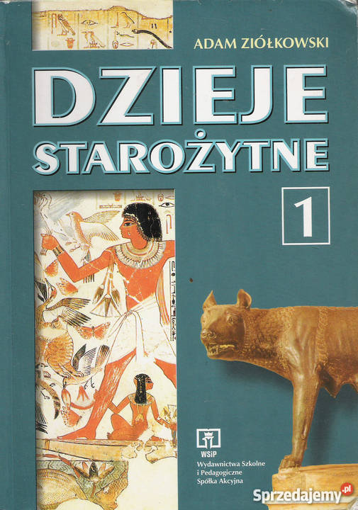 Historia historia Puławy sprzedam