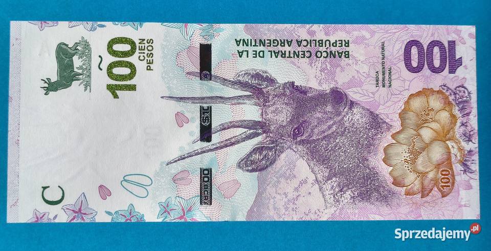 100 argentyńskich pesos 201819 UNC