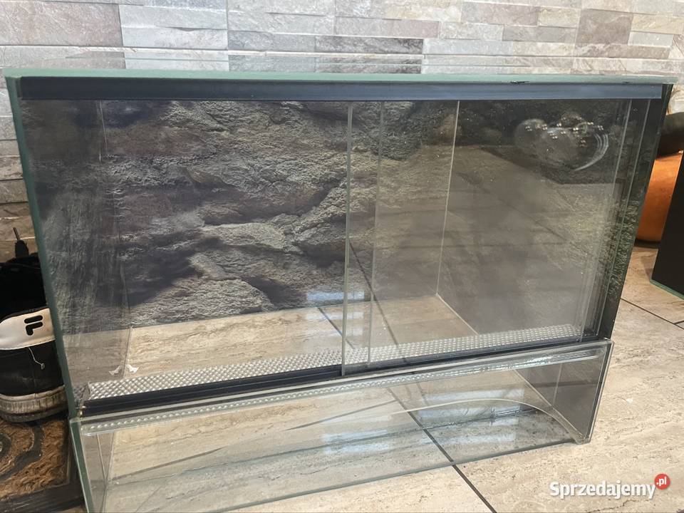 Terrarium 403030 Terrarystyka kujawsko-pomorskie Białobłoty