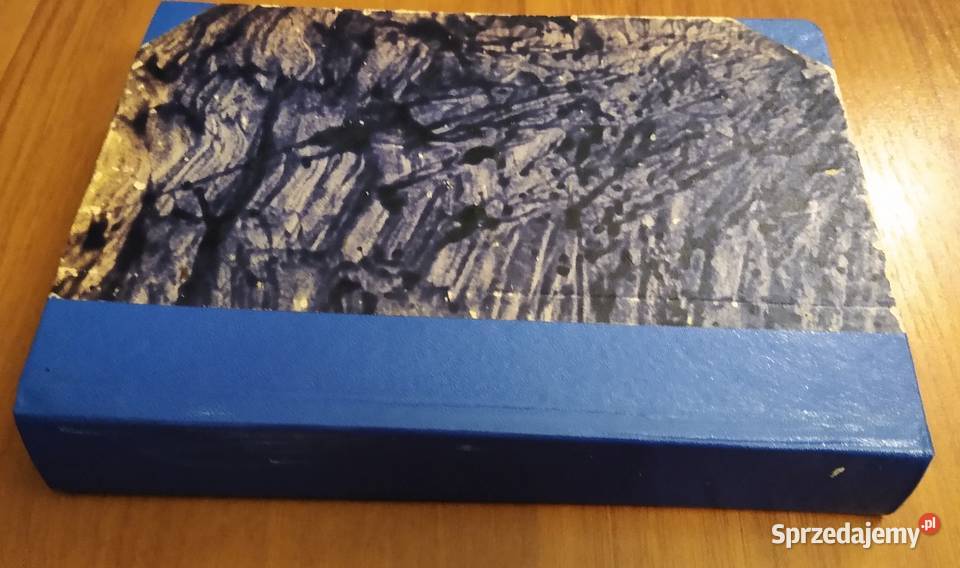 Psychologja grupy zarys zasad psychologji Gdańsk