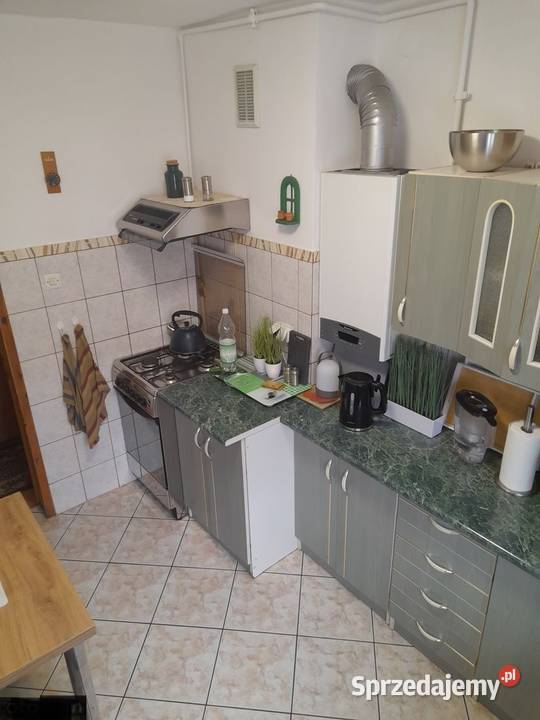 2pok 46met Żmigrodzkiej PIWNICAOGRÓDGARAŻ Wrocław