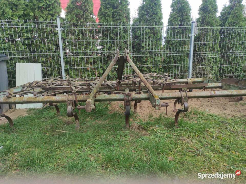 Brony podlaskie Kolno