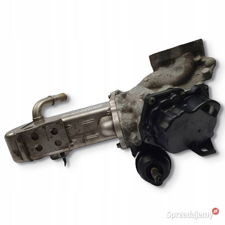 CHŁODNICA SPALIN ZAWÓR EGR Citroen Jumpy 20 HDI lubelskie Chełm