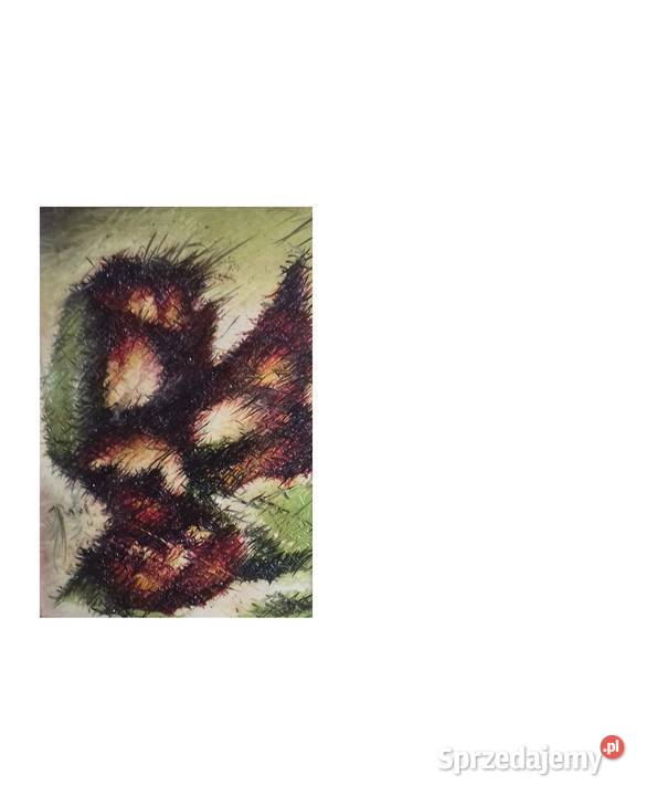 Abstrakcyjne Symultannistyczne Różyczki Jarosław