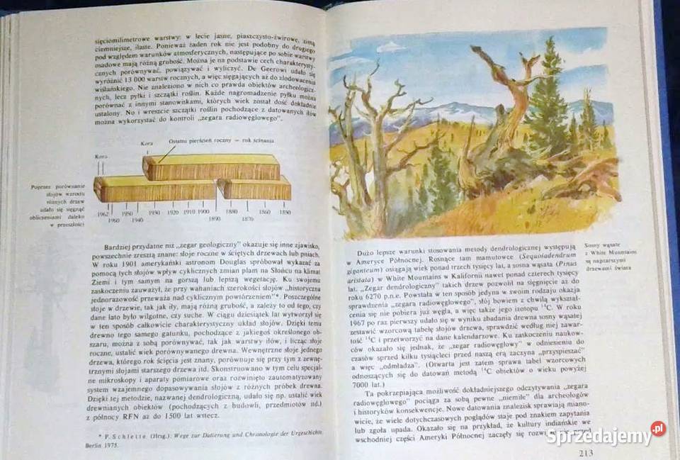 Mosty w przeszłość Rudolf Drssler lubelskie sprzedam