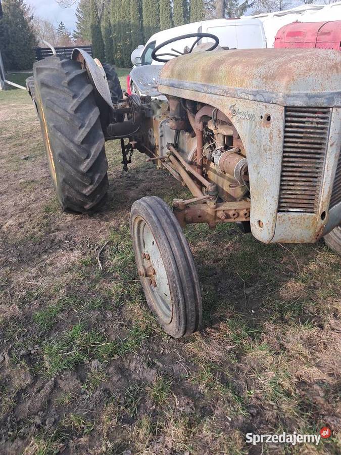 2 Ferguson TEA Gniewkowo sprzedam