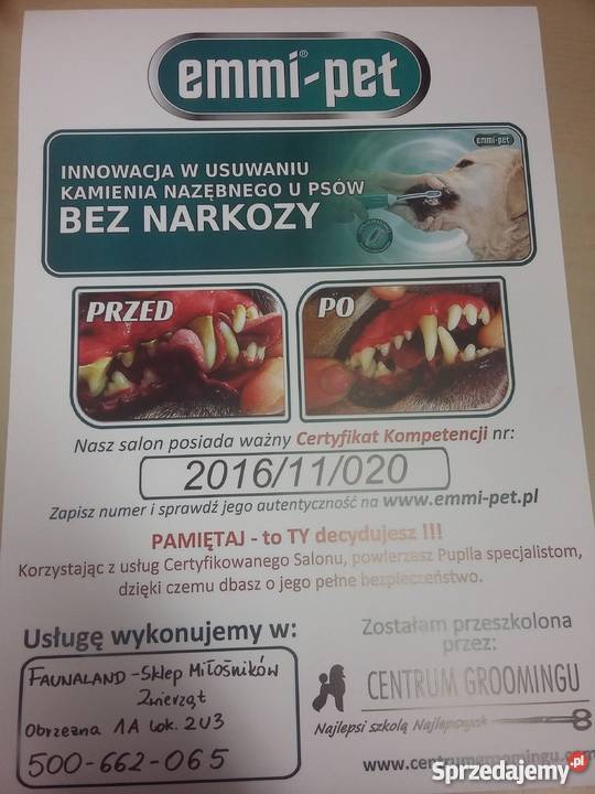Kosmetyczne usuwanie kamienia nazębnego BEZ Psy