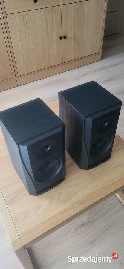 Kolumny BW DM 302 Marki