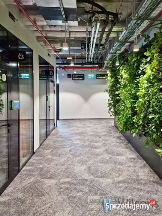 Lokal Warszawa 20 metrów mazowieckie sprzedam