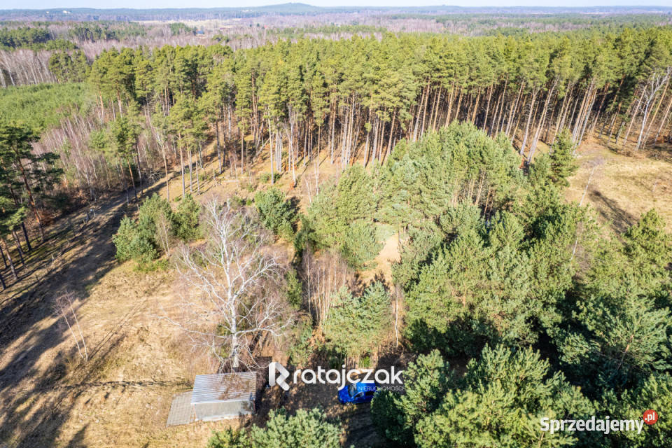 Dom wolnostojący Sasino Stara Cegielnia 40m2 Rok budowy 2024
