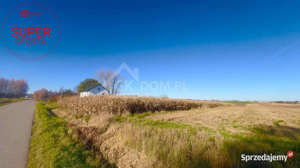 Wyjątkowa działka budowlana 1571 m Sielec asfalt świętokrzyskie