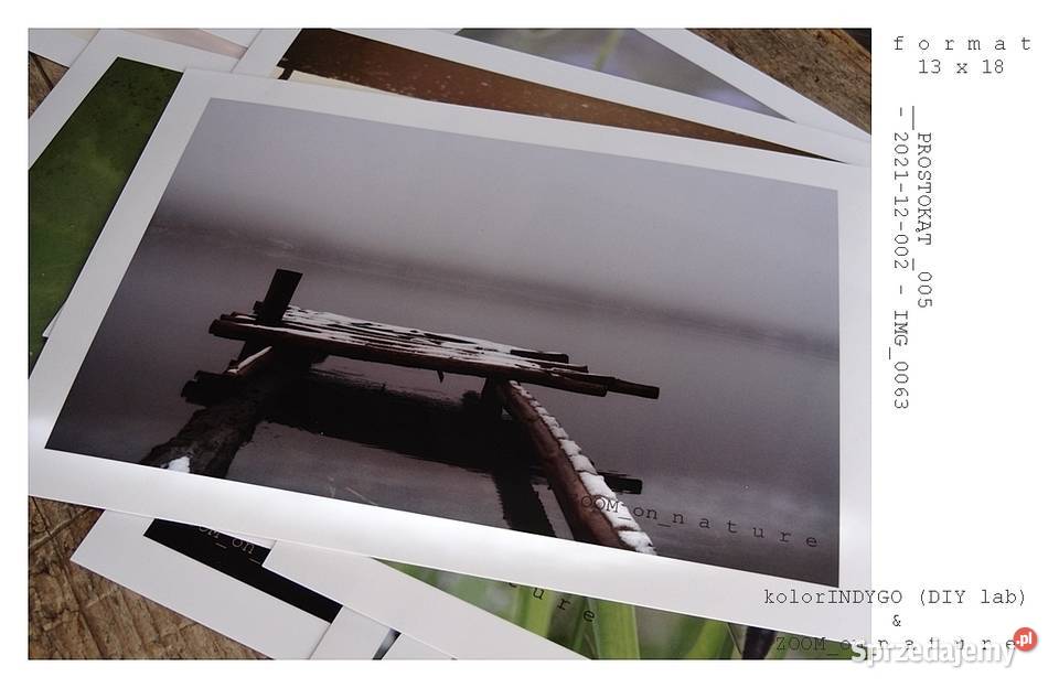 ZDJĘCIA przyrodnicze czI Witnica