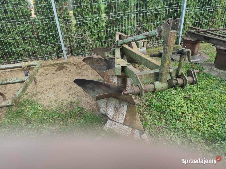 Plug podlaskie Kolno