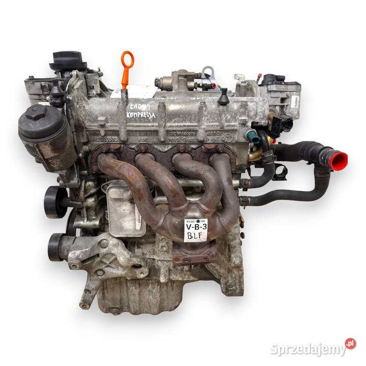 SILNIK BLF VW Touran Golf V Eos Jetta III 16 FSI Chełm