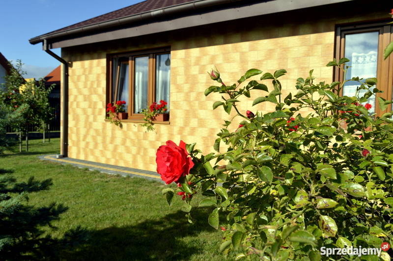 Na sprzedaż dom wolnostojący Trzcianka Ogrodowa Domy wielkopolskie Trzcianka