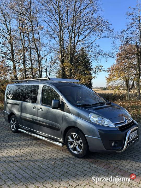 sprzedam Citroena Jumpy długa wersja 2010 20 283000km Jumpy Combi wielkopolskie Witkowo