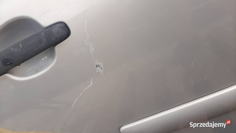drzwi prawe tylne Citroen c3 I 0209r przednie