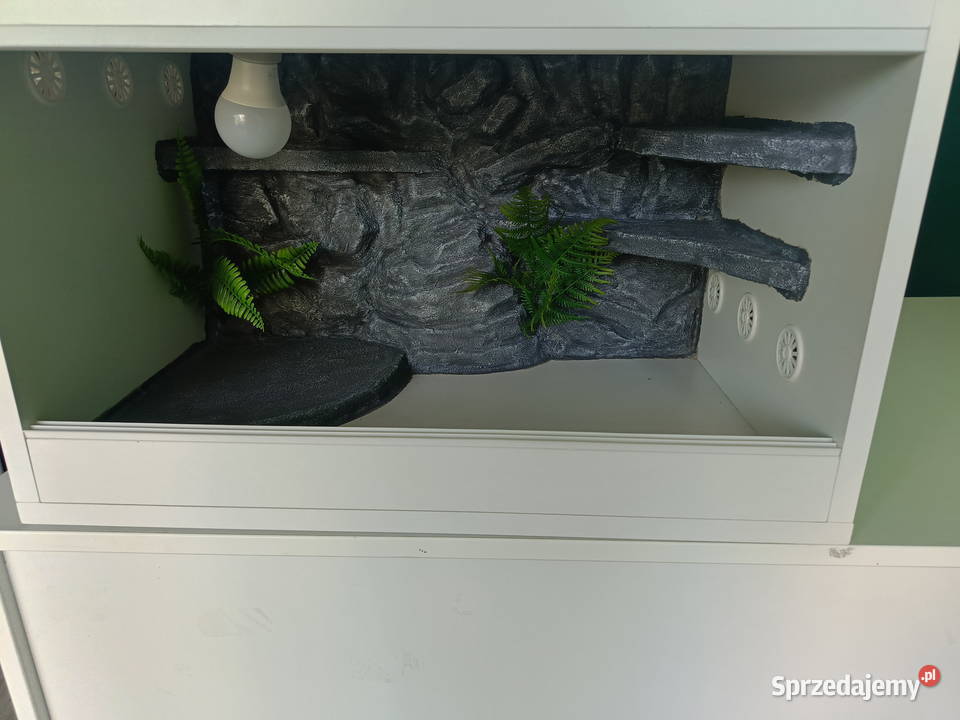 Terrarium drewniane 60x40x40 Reda