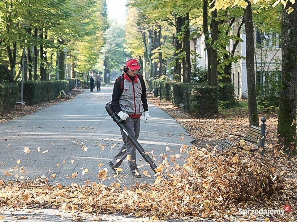 CIFARELLI BL6S DMUCHAWA DO LIŚCI CICHY ODKURZACZ Opalenica sprzedam