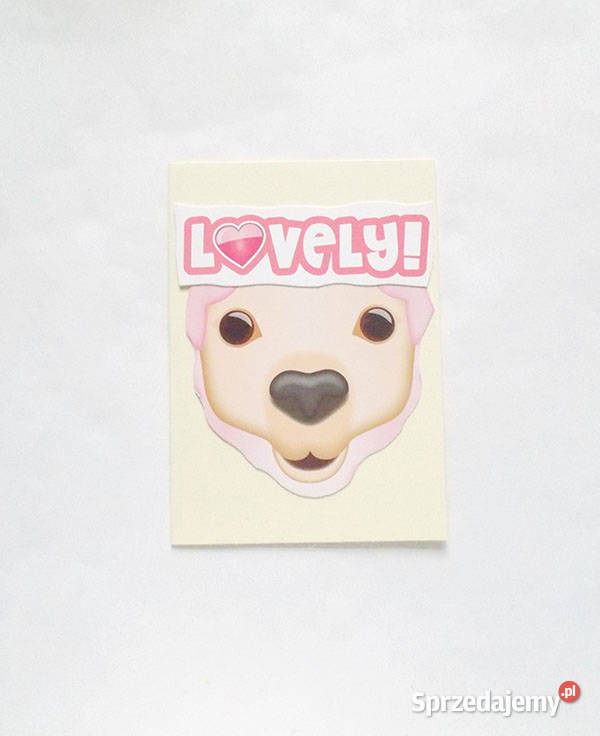 śmieszne kartki okolicznościowe karnety bez Pozostałe Olsztyn