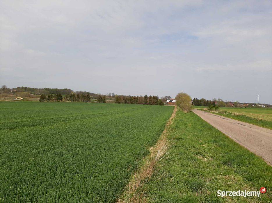 Działka rolna strumieni rzeki Jeżyczki