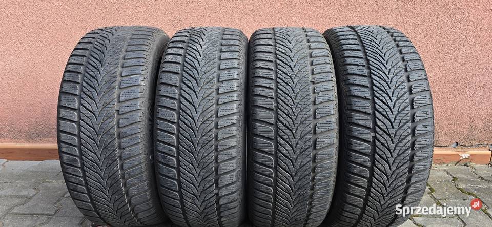 Opony zimowe Diplomat Winter HP 2155017 Pruszków