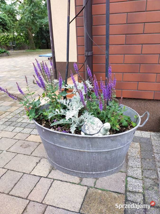 Stara wanna balia Radomsko sprzedam