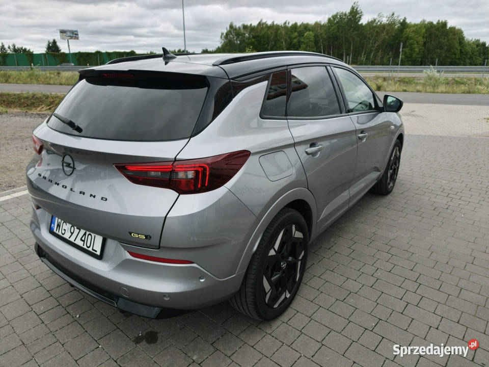 Opel Grandland Lipówki