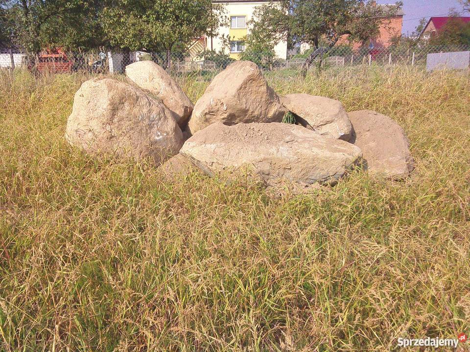 Sprzedam duże kamienie głazy 50 Kowala-Duszocina