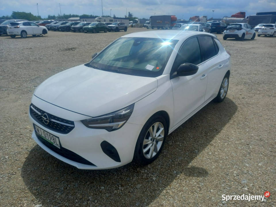 Opel Corsa F 2019 biały Komorniki