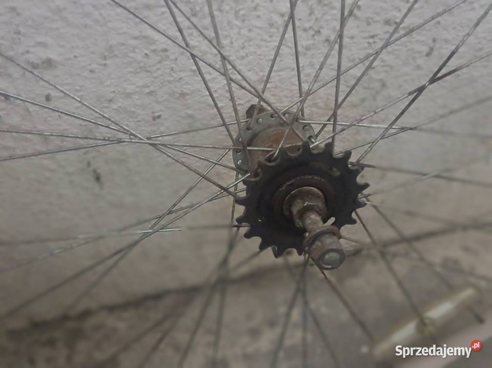Koło tylne 28 z hamulcem w torpedzie Nowa Sól
