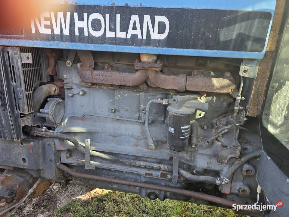 Ford hollnad Mierzyn