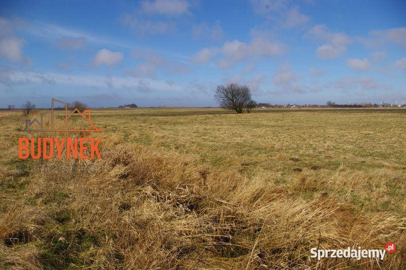 Działka rolna Domasławice Sprzedaż sprzedam