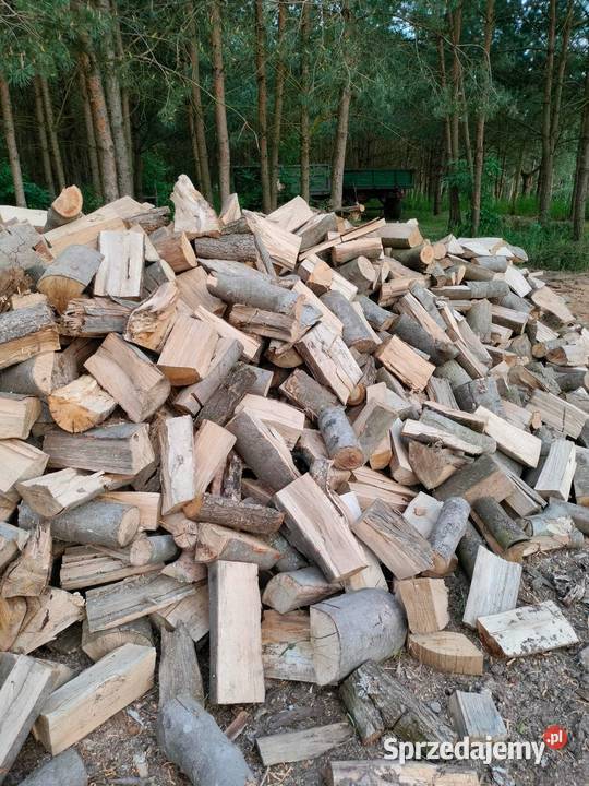 Drewno Kominkowe I opalowe Buk Dąb Brzoza Olcha Piła