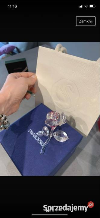 Róża kryształ Swarovski okazja różowy Kraków
