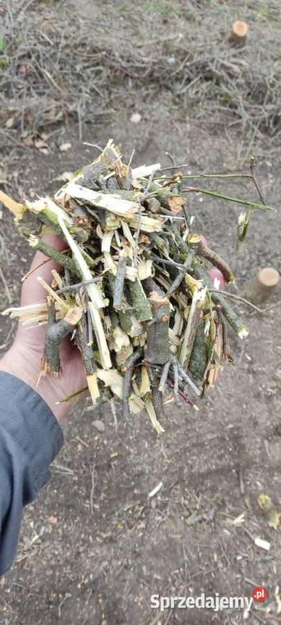 Zrębki akacjowośliwkowe Ogrzewanie Chełm sprzedam