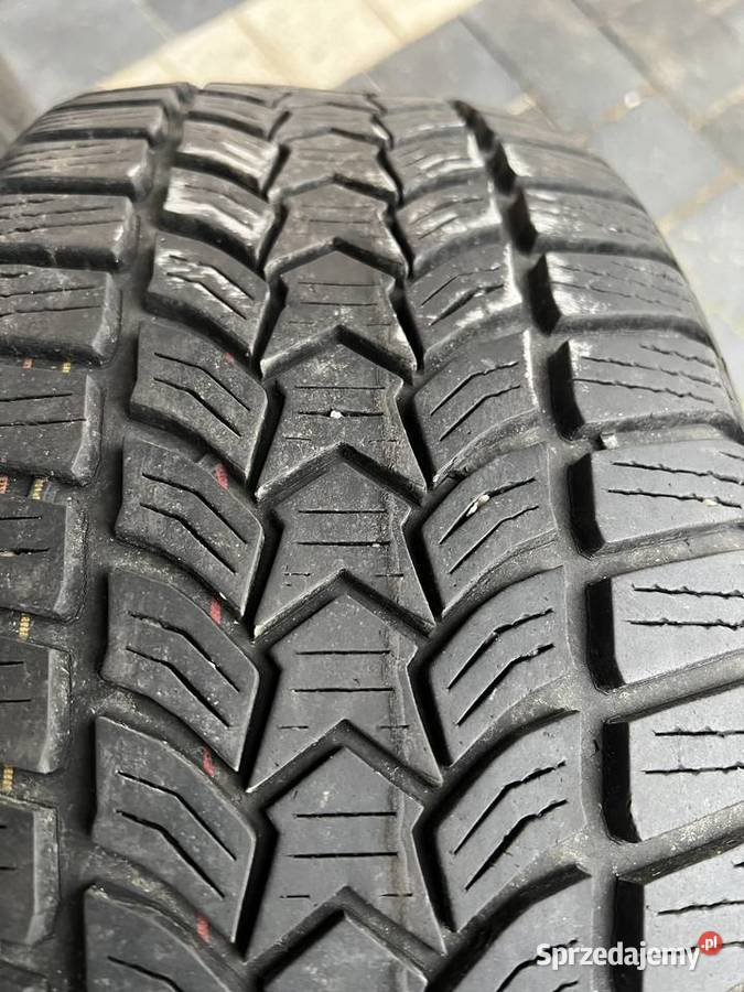 Opona zimowa dębica frigo 2 sztuki 20555r16 Izdebnik