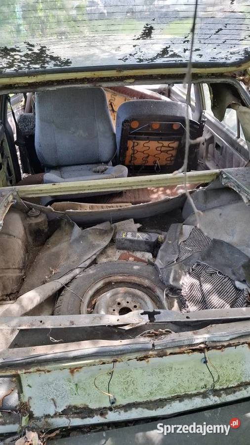 Polonez Borewicz Sadowne