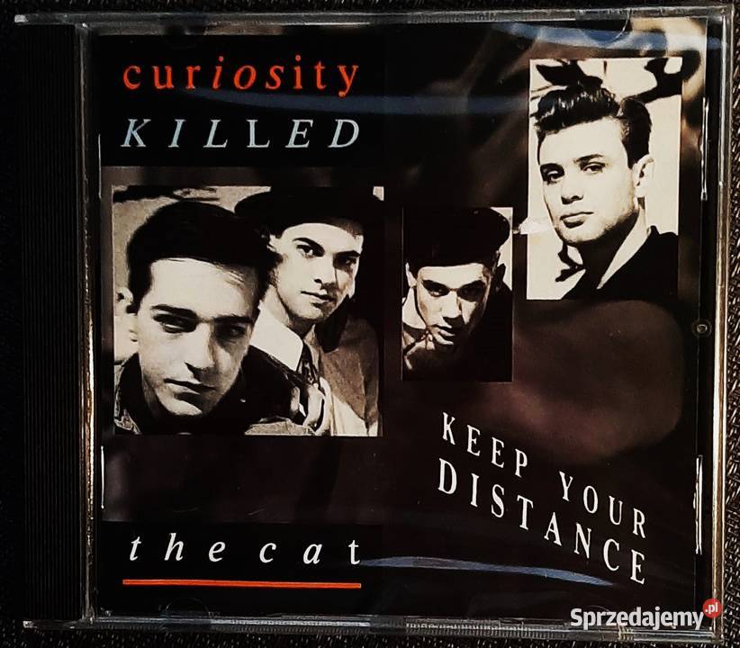 Album CD THE CLASH From Here To Eternity Live Katowice sprzedam
